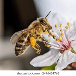 日本成人在线影片 0dw309gy